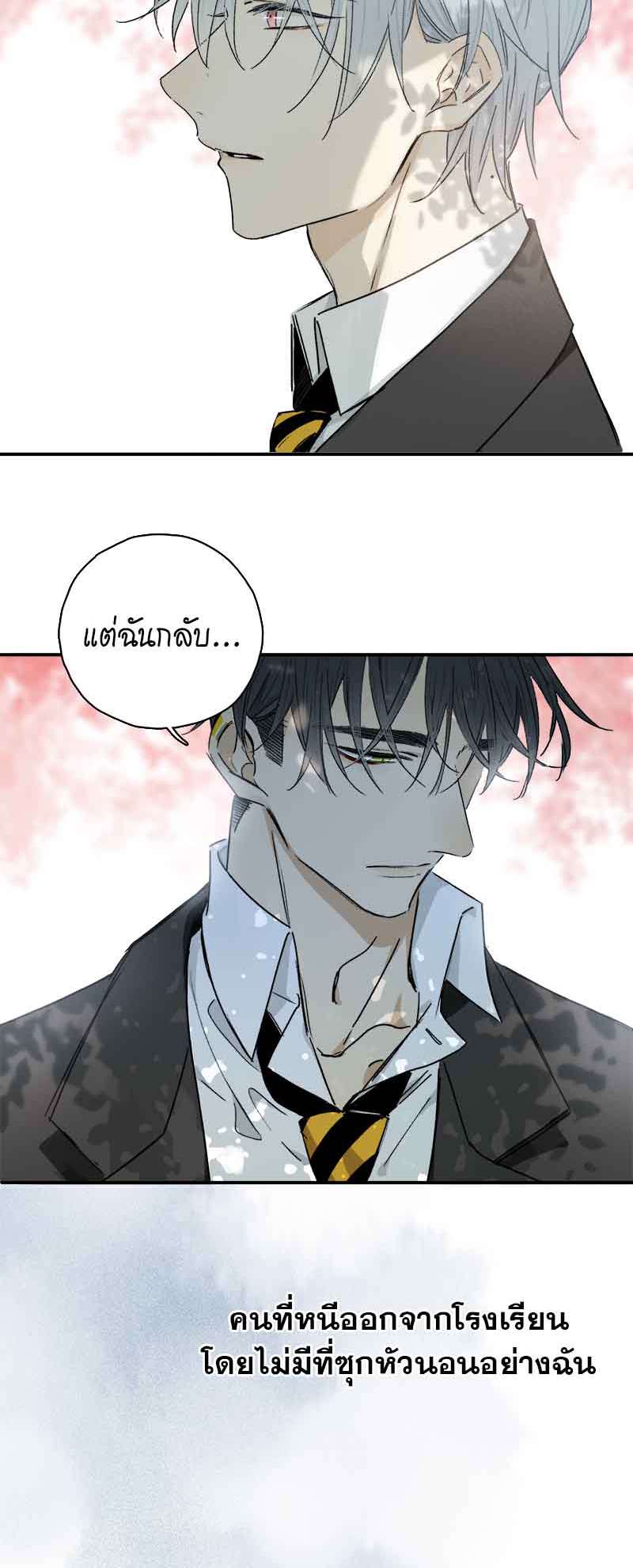 กฎรักแห่งออกัส84 29