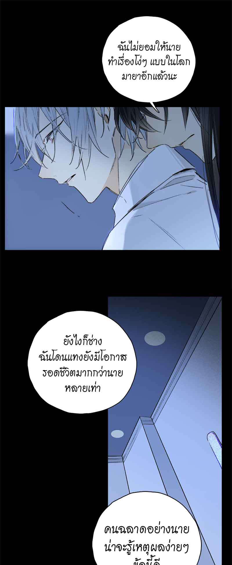 กฎรักแห่งออกัส81 11