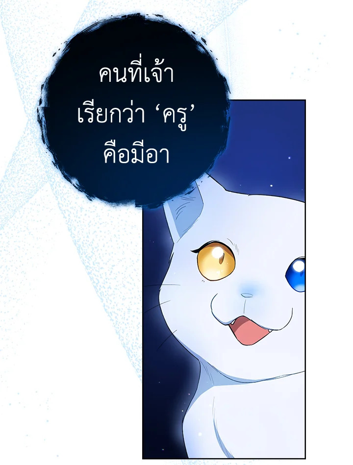 The Young Lady Is a Royal Chef 78 046