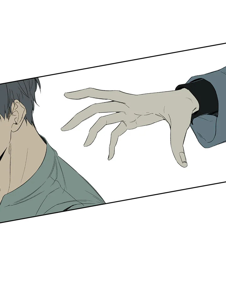 The Shape of Sympathy 32 07