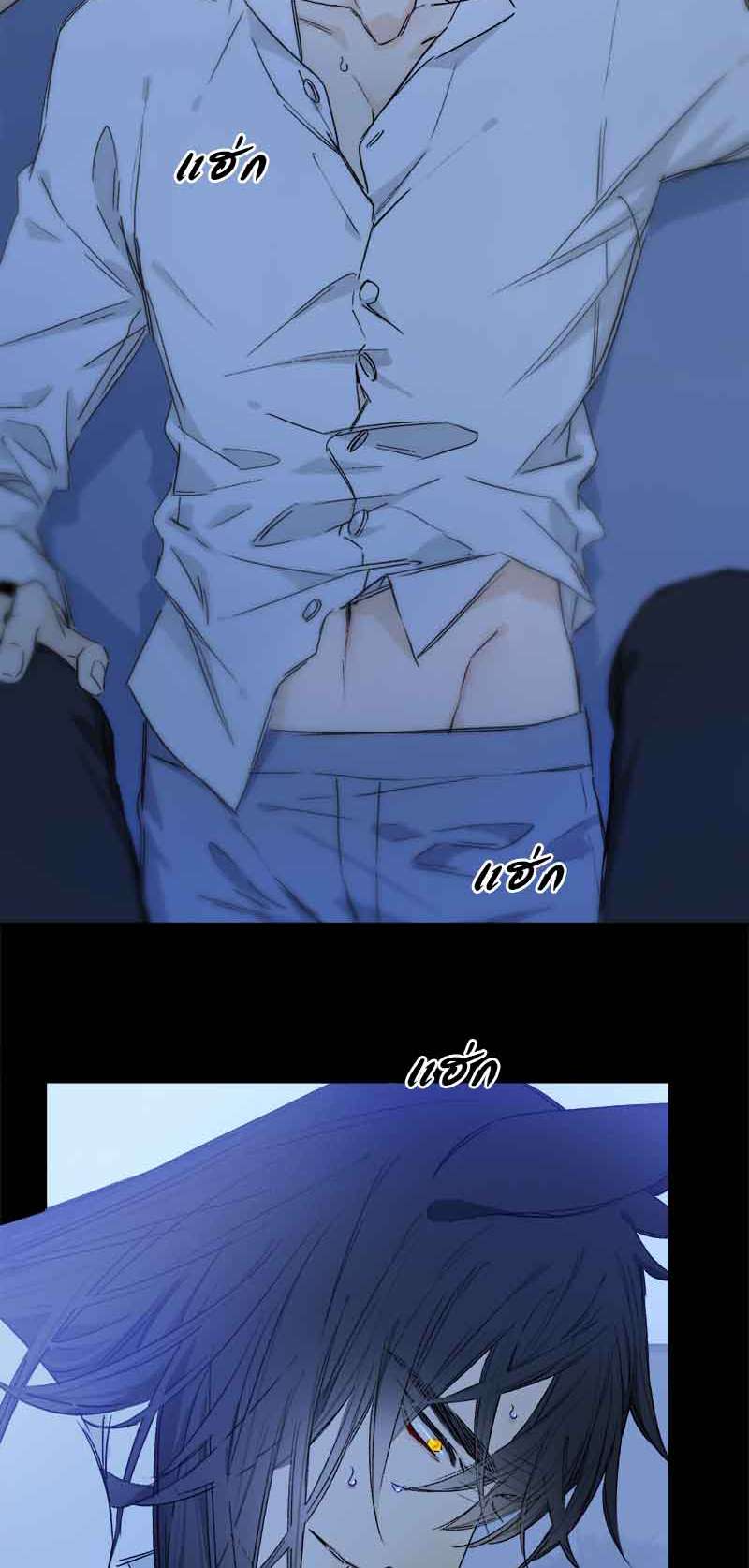 กฎรักแห่งออกัส80 28