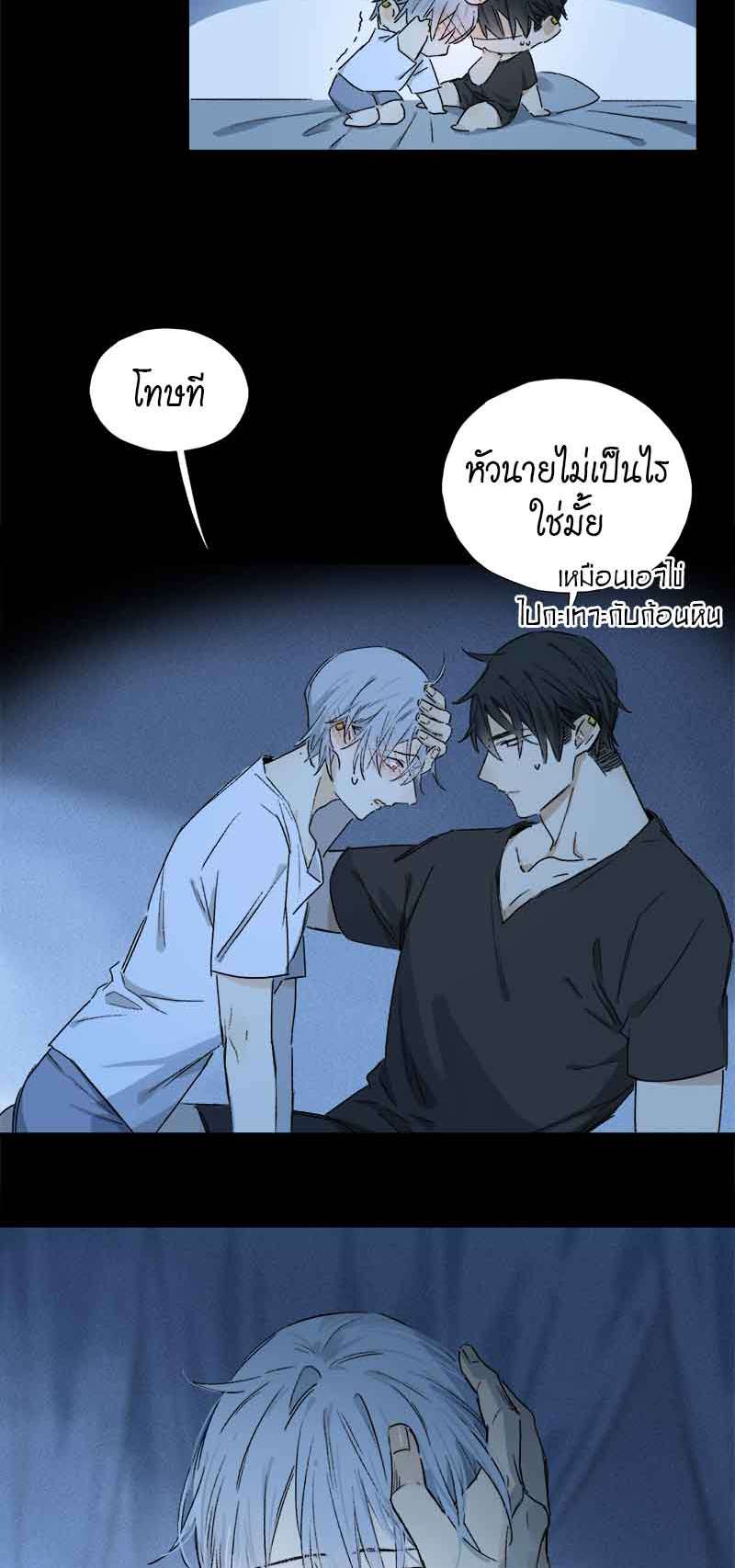 กฎรักแห่งออกัส65 18
