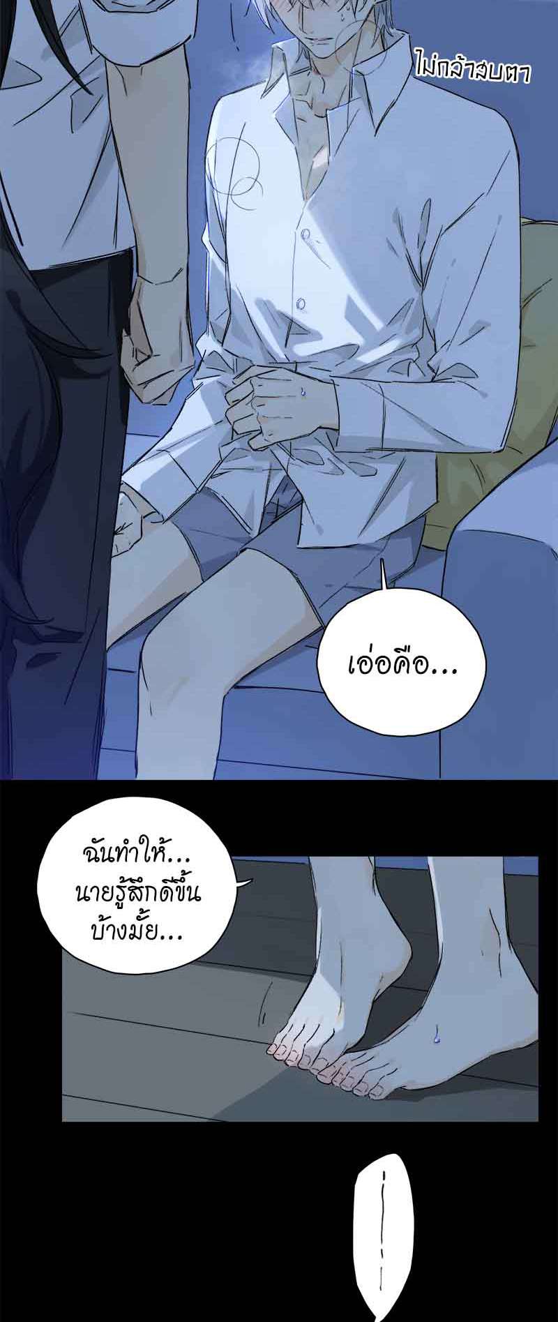 กฎรักแห่งออกัส80 20