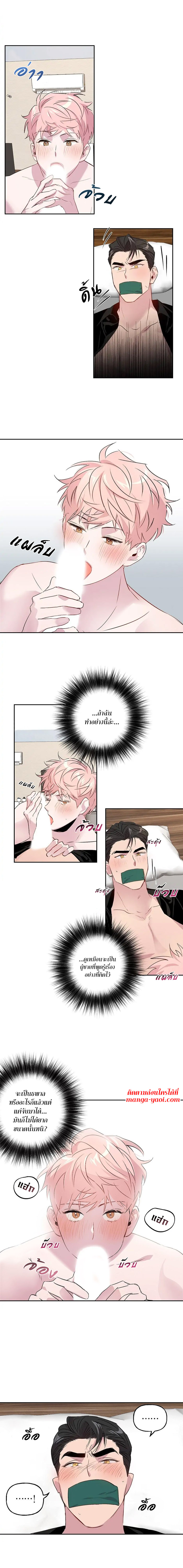 Assorted Wildness ตอนที่ 6 (6)