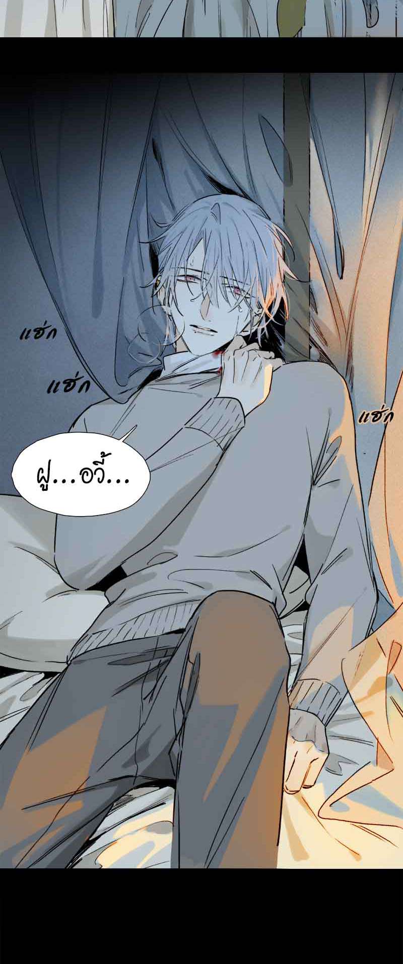 กฎรักแห่งออกัส64 14
