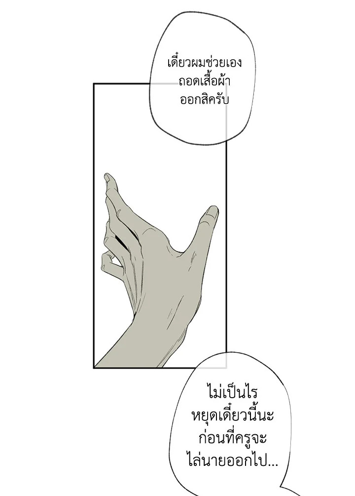 The Shape of Sympathy 37 57