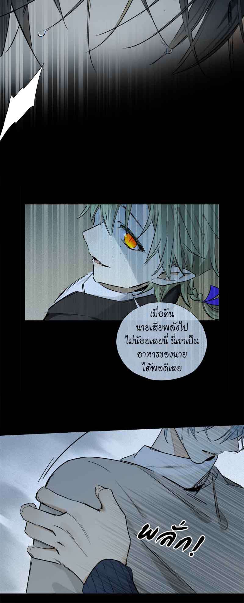 กฎรักแห่งออกัส64 12
