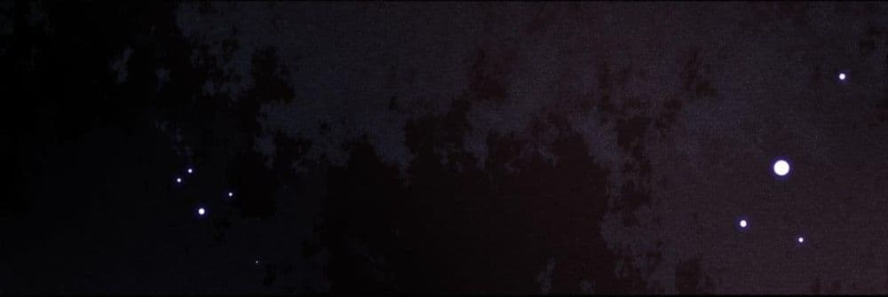 The Beast Tamer 3 20