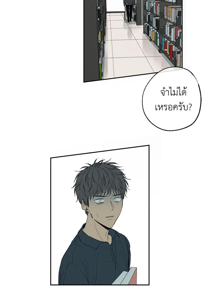 The Shape of Sympathy 8 06