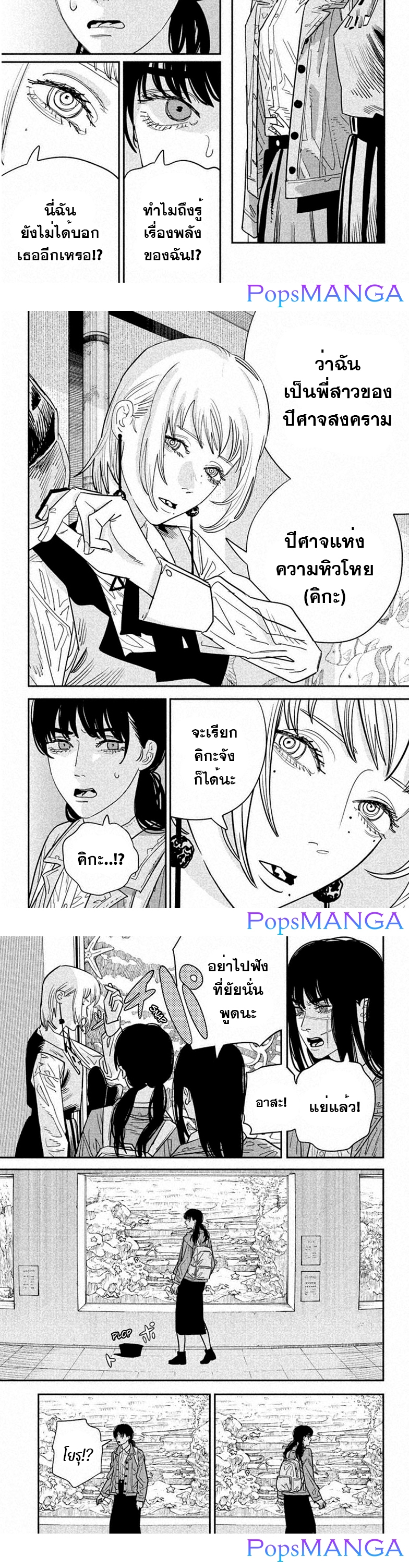 chainsaw man 113.06