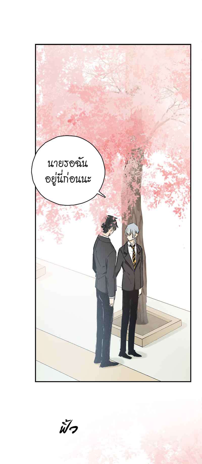 กฎรักแห่งออกัส84 31