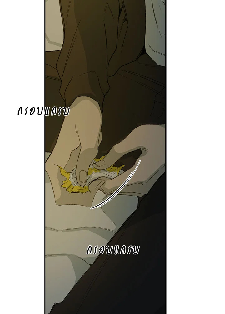 The Shape of Sympathy 30 76