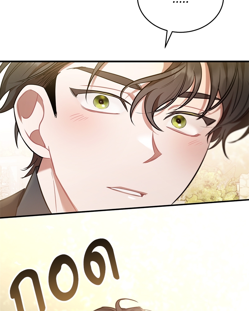 Shadowless Night 14 098