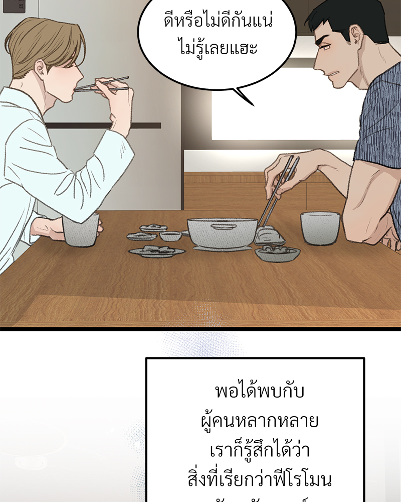 เน€เธเธ•เธซเนเธฒเธกเธฃเธฑเธเธเธเธฑเธเน€เธเธ•เนเธฒ 46 031