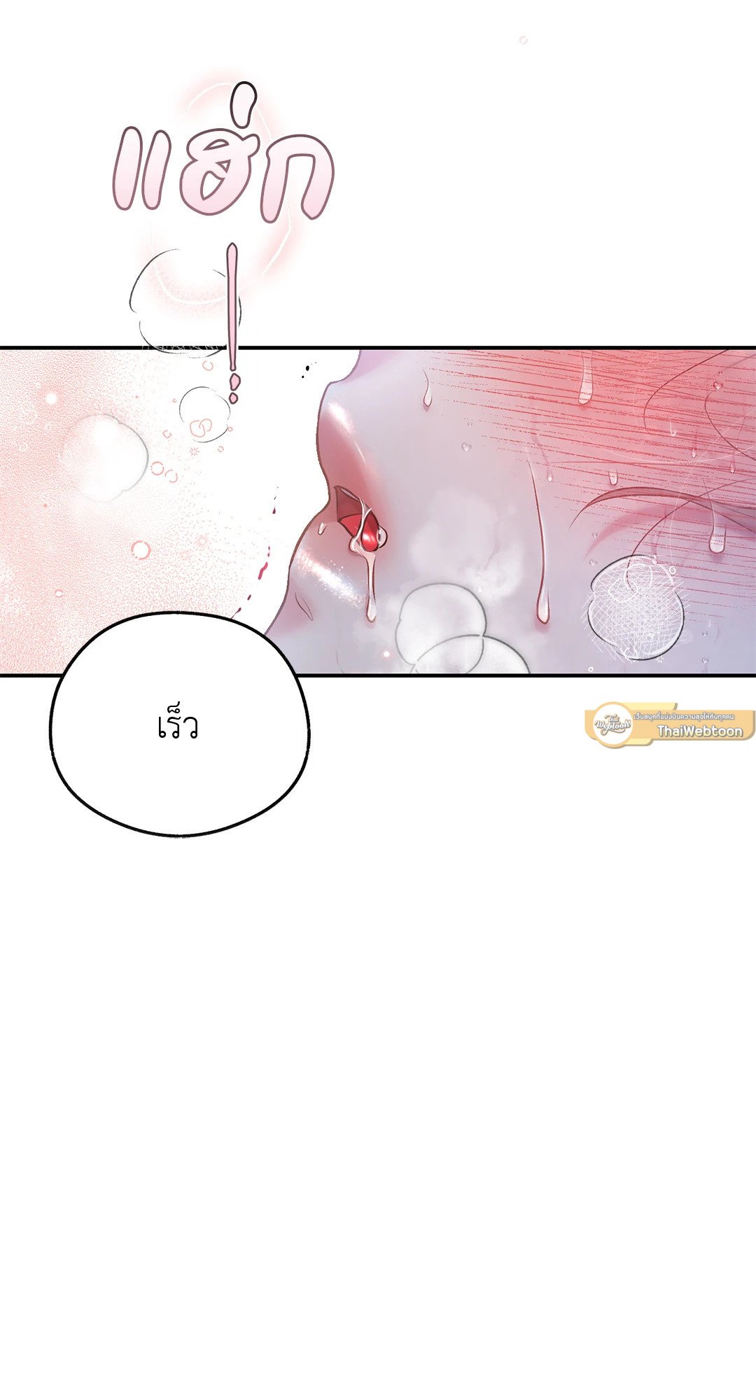 Sugar Rain 29 55