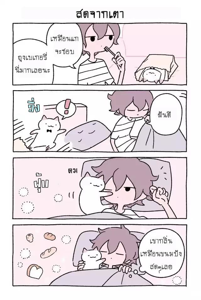 Wonder Cat Kyuu chan 6 18