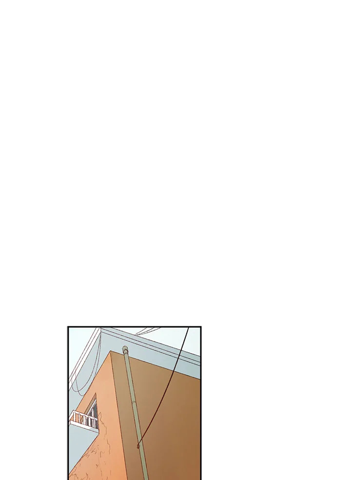 The Shape of Sympathy 2 40