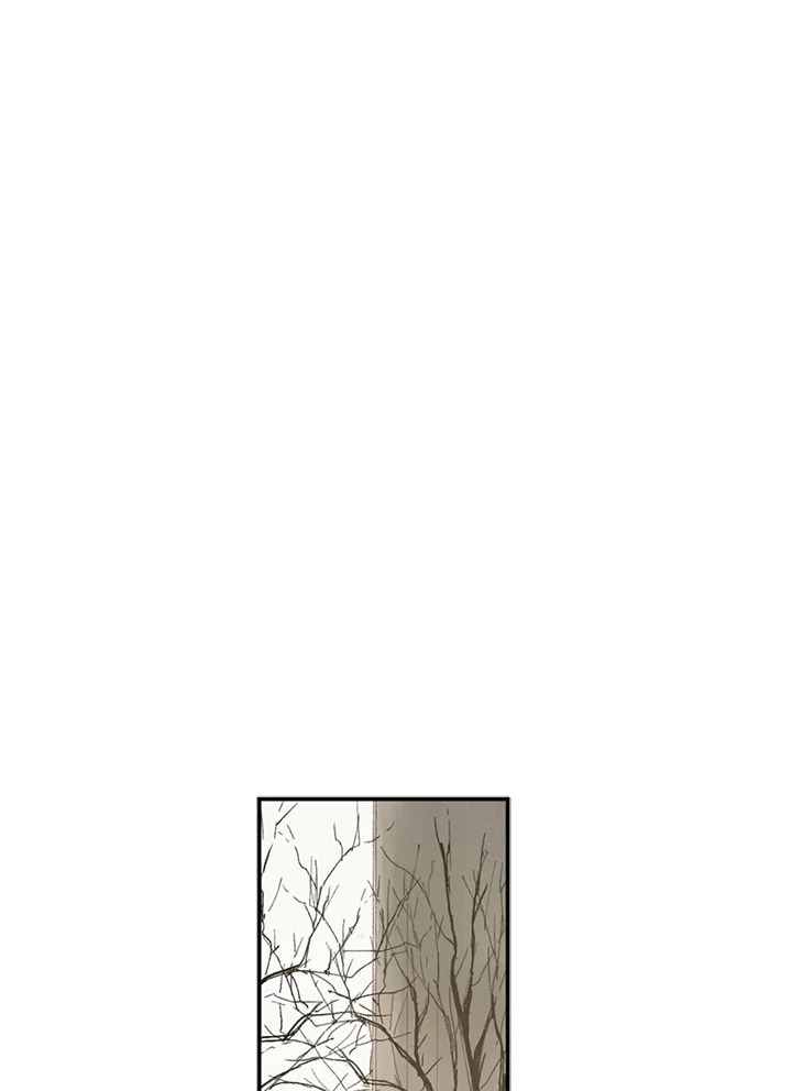 The Shape of Sympathy 1 082