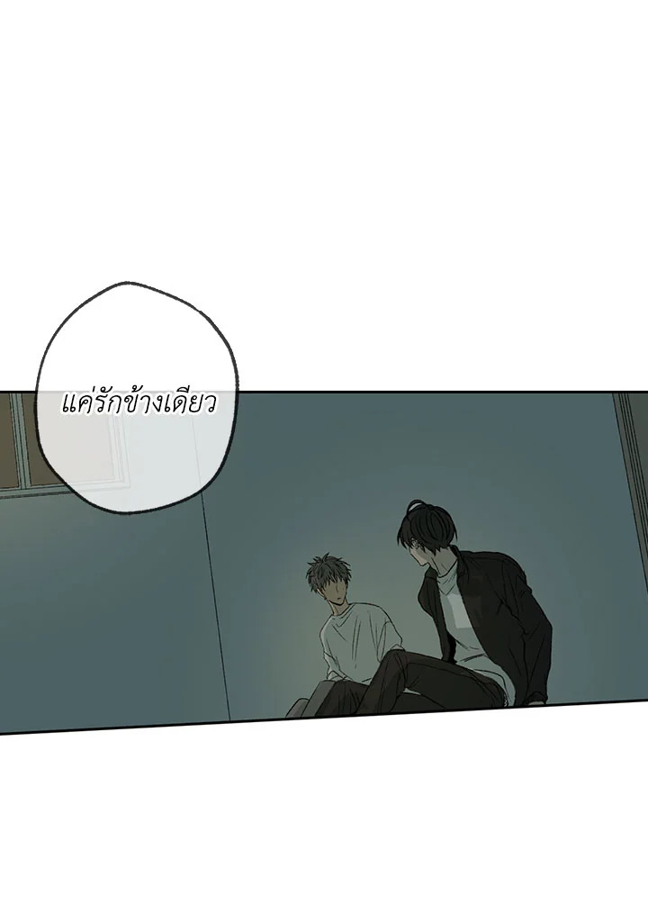The Shape of Sympathy 4 007