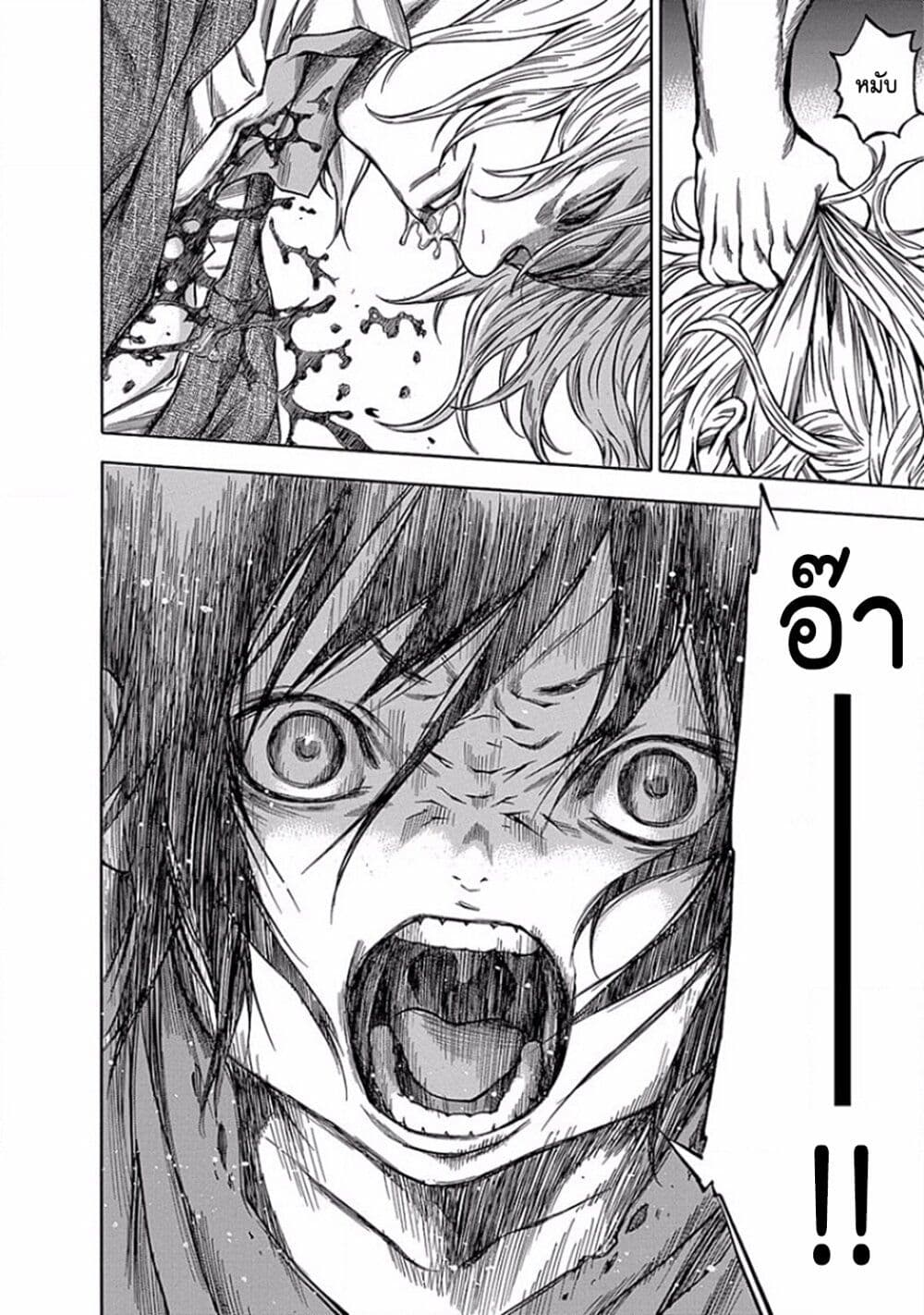 Ateya no Tsubaki 105 24