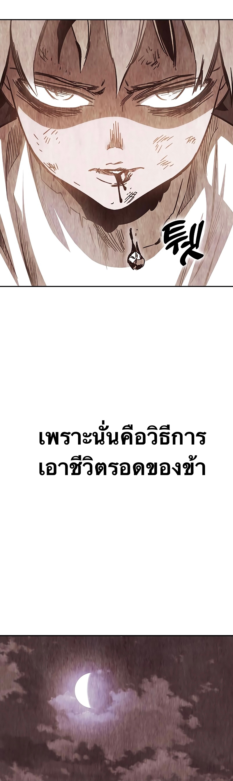 X Ash 53 (8)