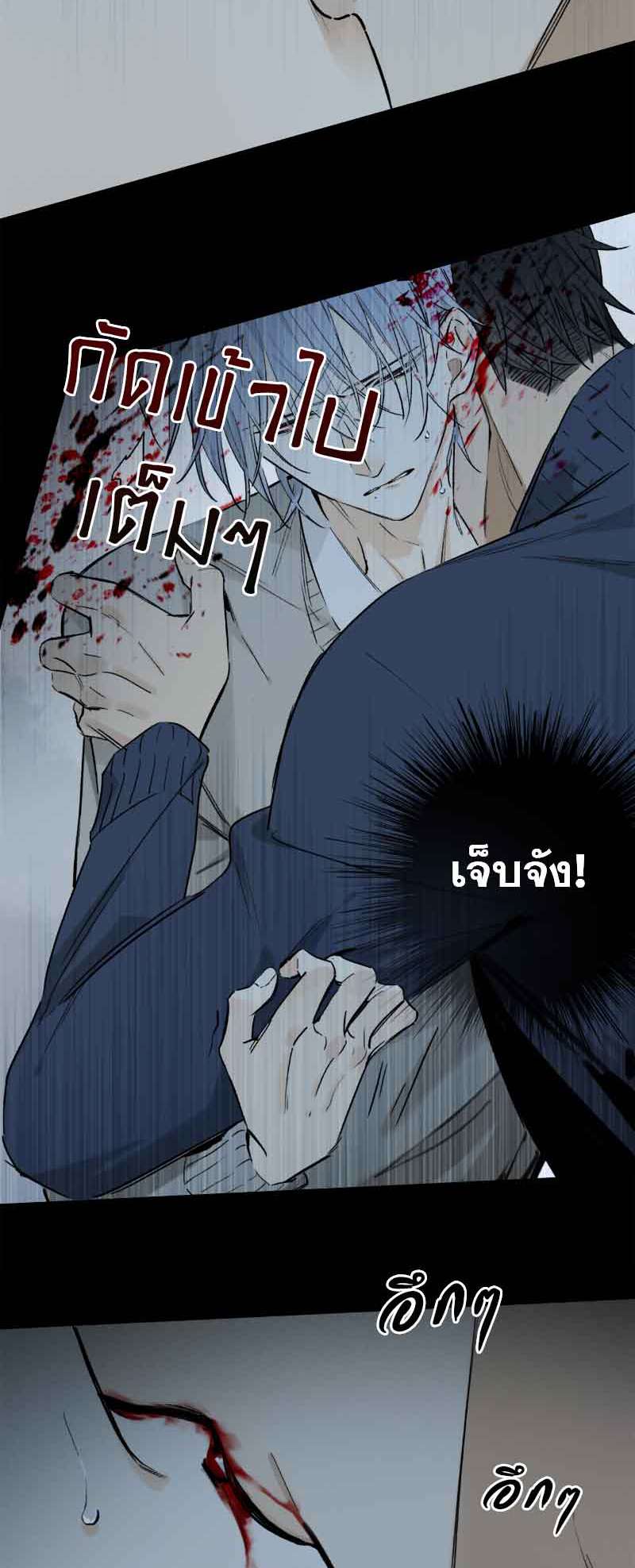 กฎรักแห่งออกัส64 09