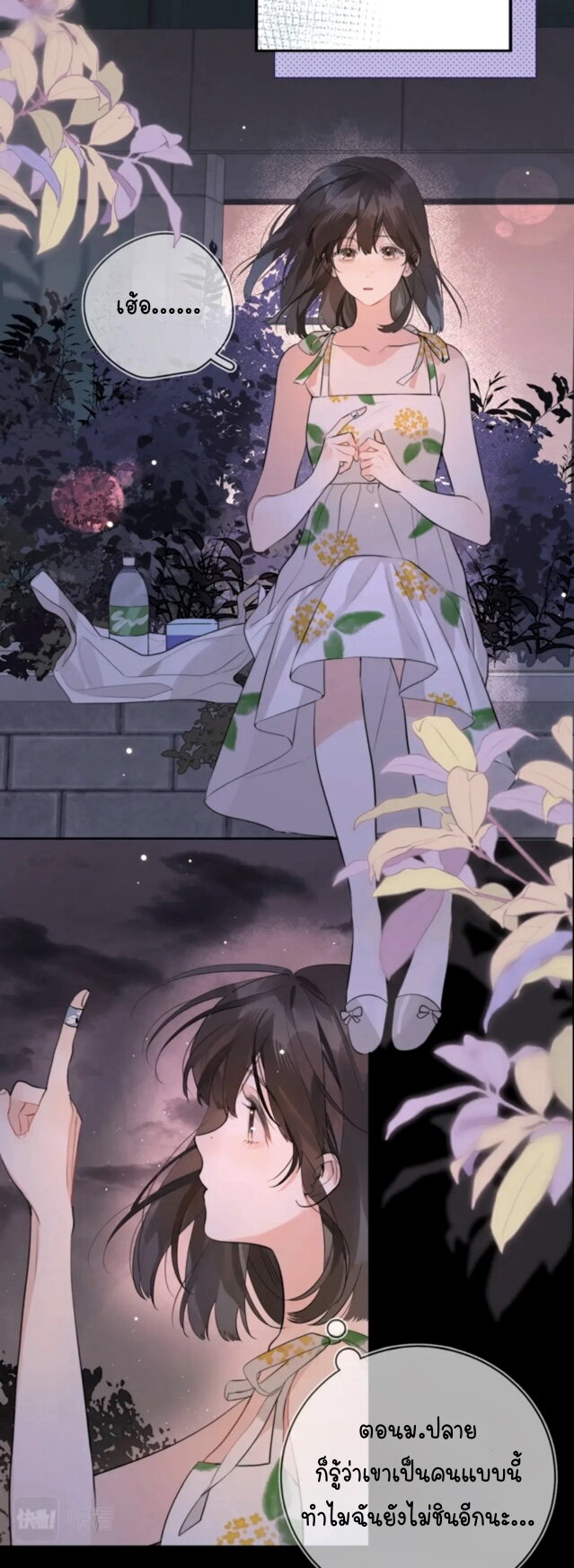 Heliotrope & ZJZ 9 (12)