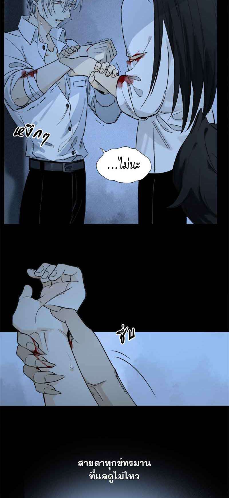 กฎรักแห่งออกัส57 06