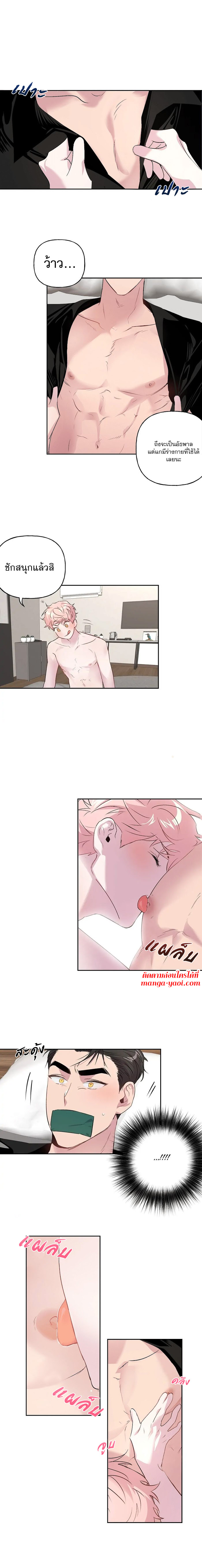 Assorted Wildness ตอนที่ 6 (2)