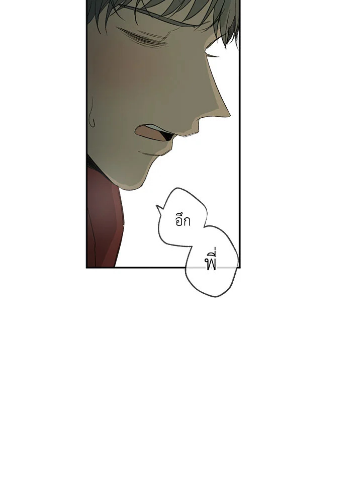 The Shape of Sympathy 23 37
