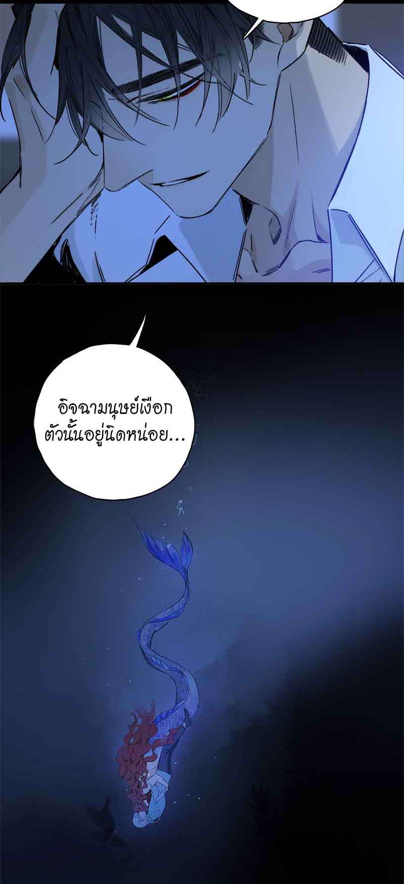 กฎรักแห่งออกัส81 39