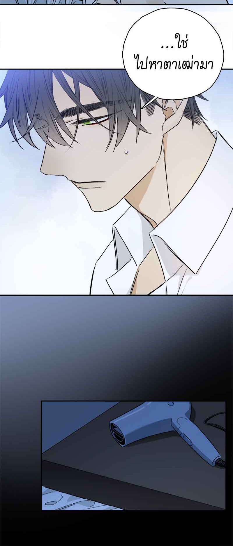 กฎรักแห่งออกัส85 23