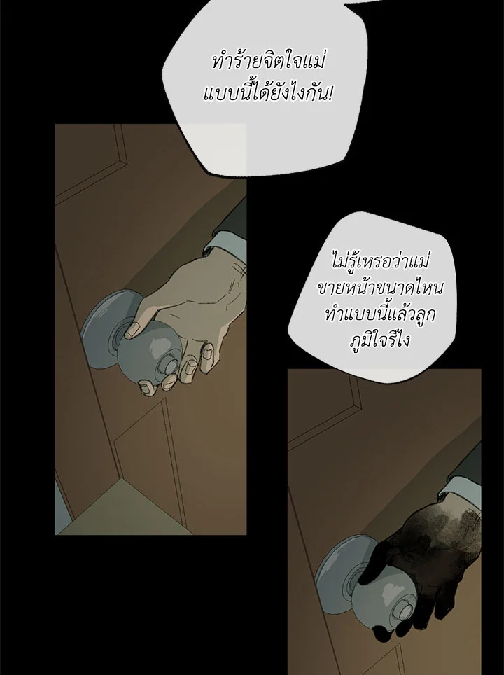 The Shape of Sympathy 48 061