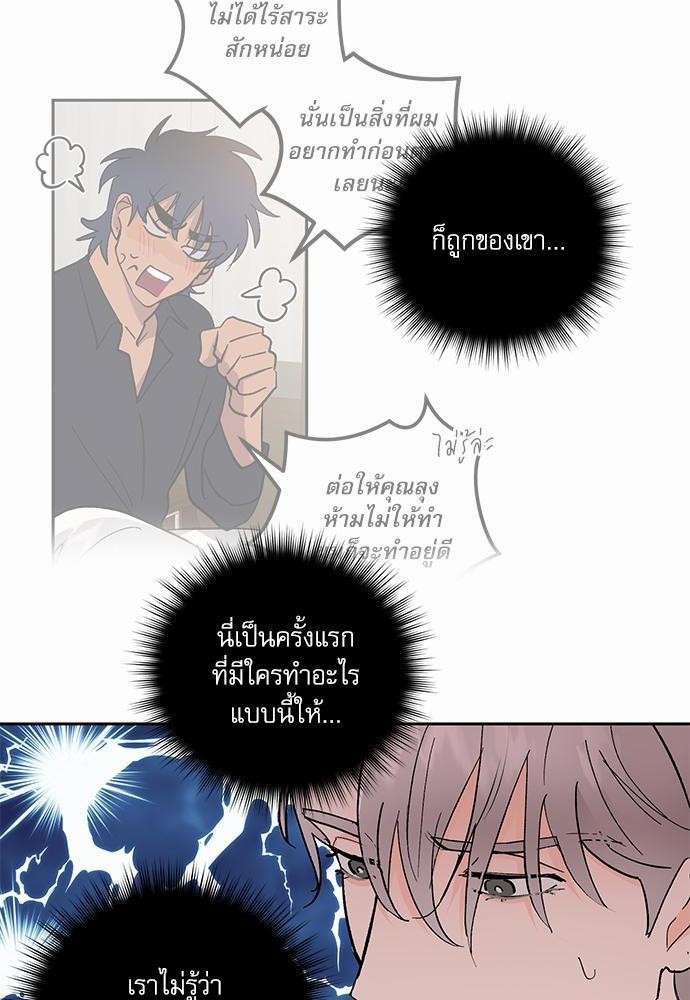 เน€เธชเธทเธญเธเธขเนเธณเธเธฑเธเธ—เธฃเน 29 56