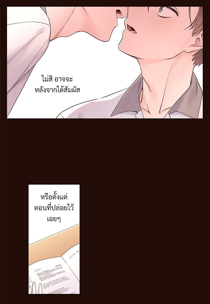 4 Week Lovers 46 26