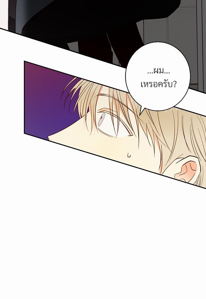 เธฃเนเธฒเธเธชเธฐเธ”เธงเธเธฃเธฑเธ 24 เธเธก. เธ•เธญเธเธ—เธตเน 31 33