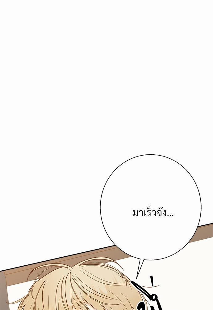 เธฃเนเธฒเธเธชเธฐเธ”เธงเธเธฃเธฑเธ 24 เธเธก. เธ•เธญเธเธ—เธตเน 40 21