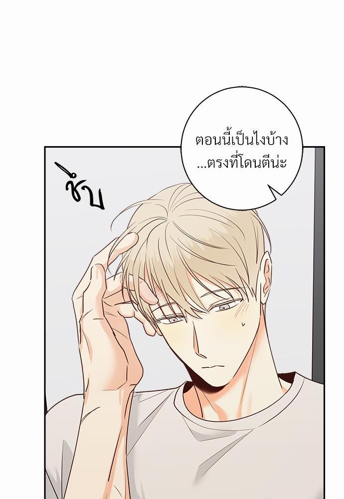 เธฃเนเธฒเธเธชเธฐเธ”เธงเธเธฃเธฑเธ 24 เธเธก. เธ•เธญเธเธ—เธตเน 36 19