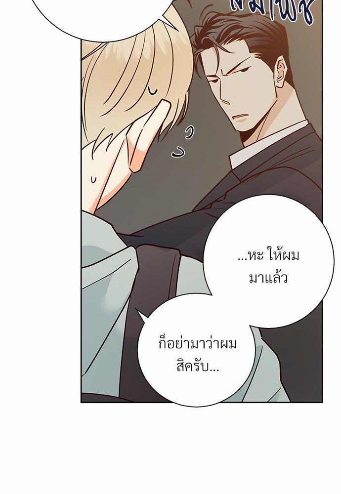 เธฃเนเธฒเธเธชเธฐเธ”เธงเธเธฃเธฑเธ 24 เธเธก. เธ•เธญเธเธ—เธตเน 40 39