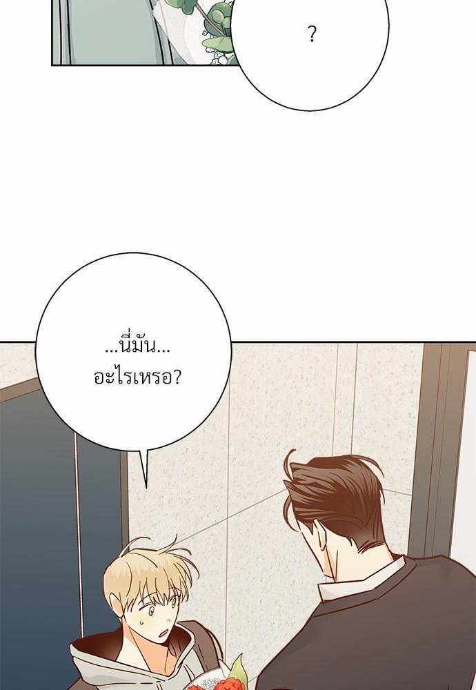 เธฃเนเธฒเธเธชเธฐเธ”เธงเธเธฃเธฑเธ 24 เธเธก. เธ•เธญเธเธ—เธตเน 40 24