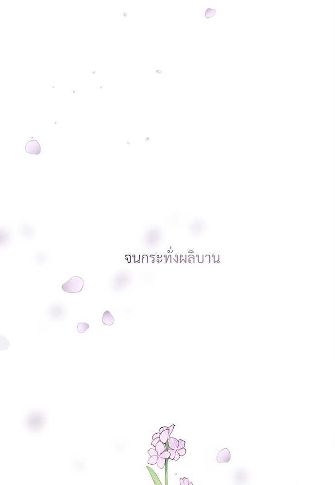 เน€เธเธกเธฃเธฑเธเธ•เนเธญเธเธซเนเธฒเธก 1 047