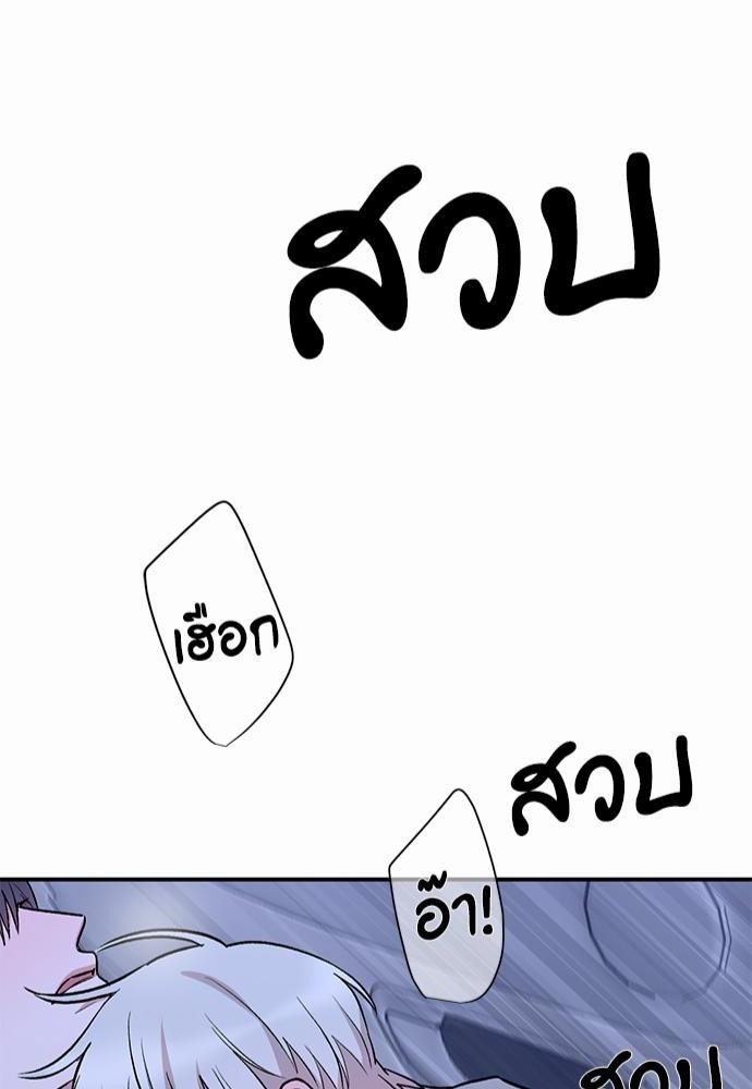 INSECRET 18 44