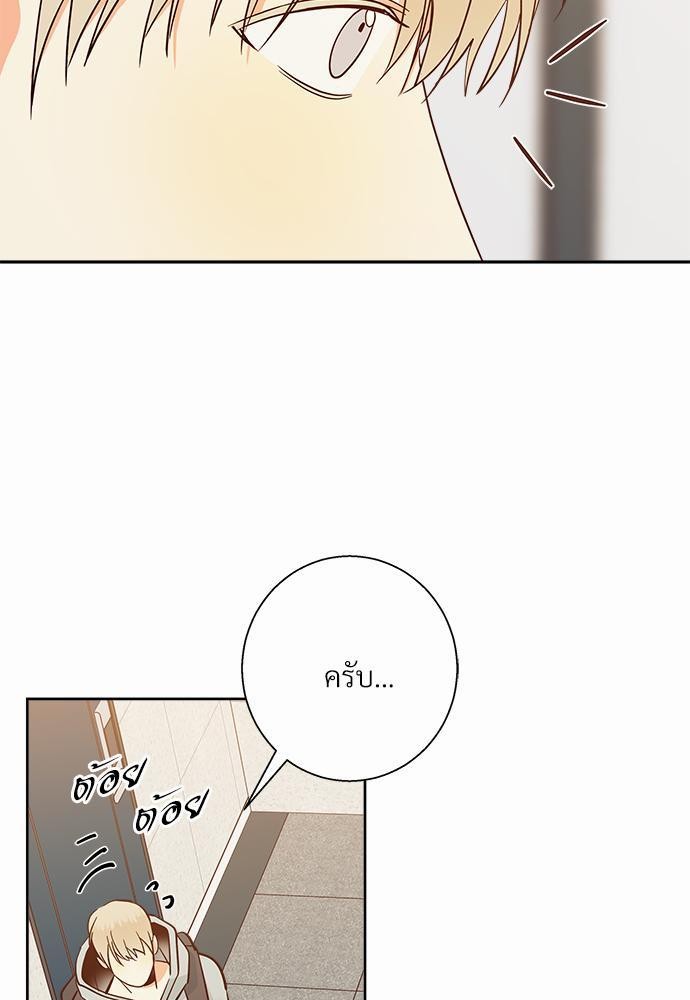 เธฃเนเธฒเธเธชเธฐเธ”เธงเธเธฃเธฑเธ 24 เธเธก. เธ•เธญเธเธ—เธตเน 40 31