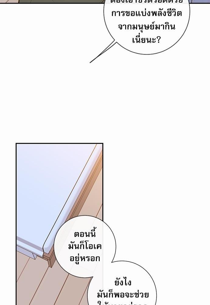 เธเธงเธฒเธกเธฅเธฑเธเธเธญเธเธเธเธฑเธเธเธฒเธ K 13 15