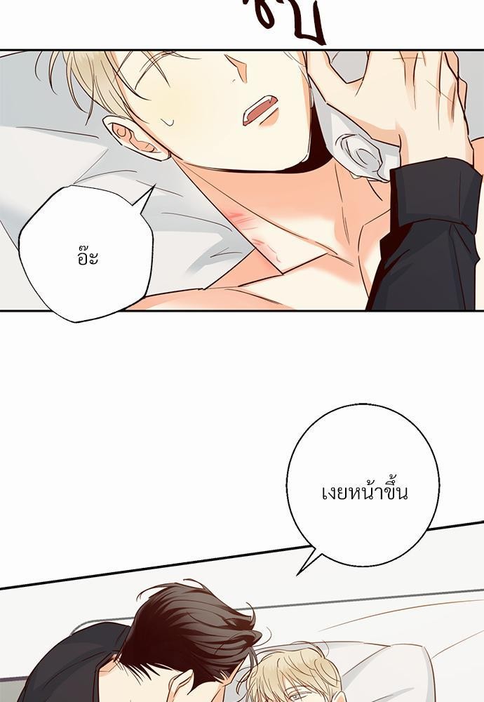 เธฃเนเธฒเธเธชเธฐเธ”เธงเธเธฃเธฑเธ 24 เธเธก. เธ•เธญเธเธ—เธตเน 30 65