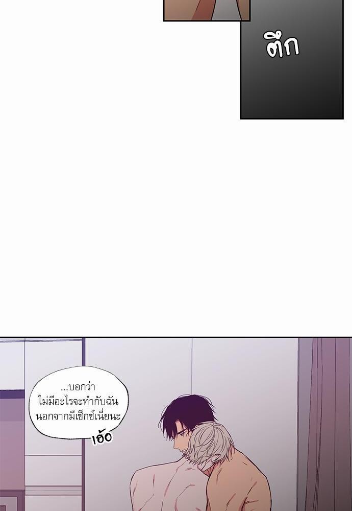 เน€เธเธ•เธเธณเธเธฑเธ”เธฃเธฑเธ เธ•เธญเธเธ—เธตเน 41 (28)