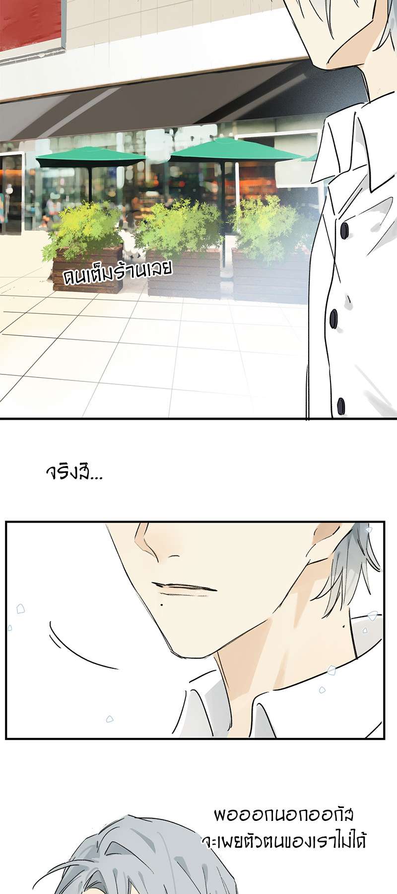 เธเธเธฃเธฑเธเนเธซเนเธเธญเธญเธเธฑเธช 15 17