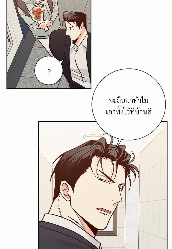 เธฃเนเธฒเธเธชเธฐเธ”เธงเธเธฃเธฑเธ 24 เธเธก. เธ•เธญเธเธ—เธตเน 40 32