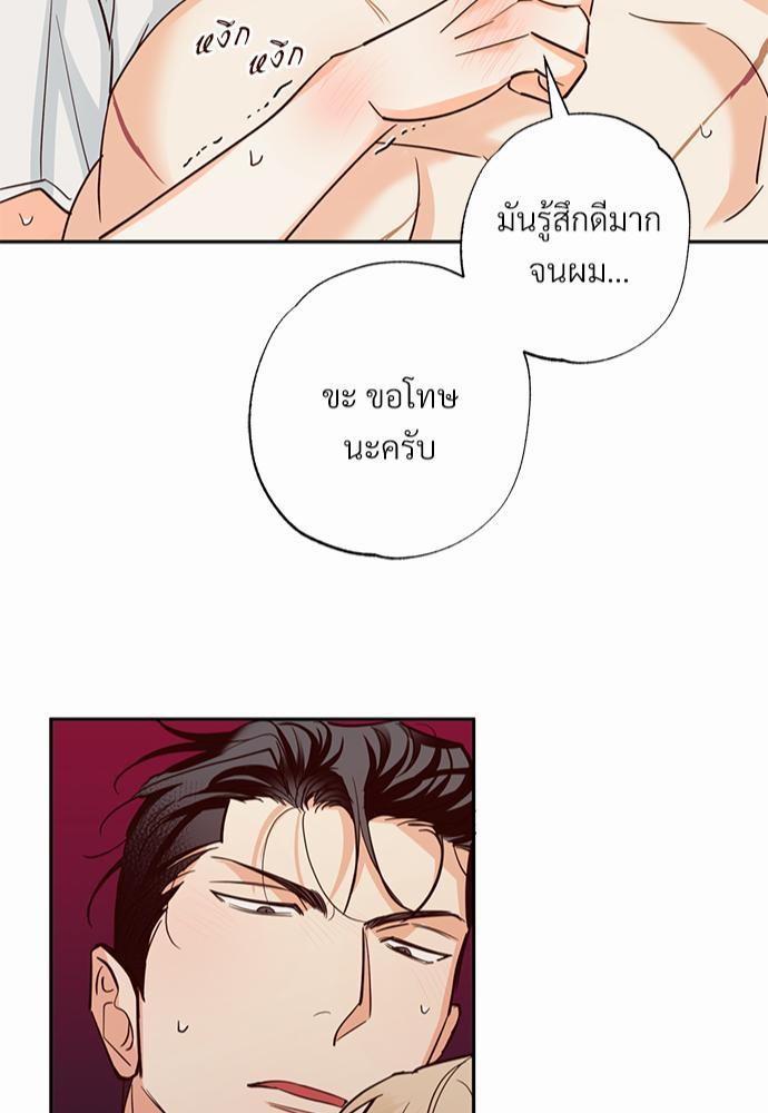 เธฃเนเธฒเธเธชเธฐเธ”เธงเธเธฃเธฑเธ 24 เธเธก. เธ•เธญเธเธ—เธตเน 30 43