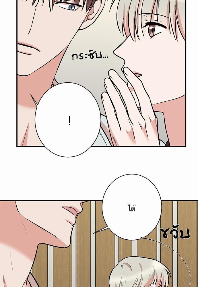 INSECRET 19 44